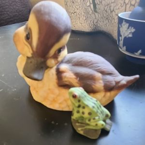 Adorable baby duckling and frog😍